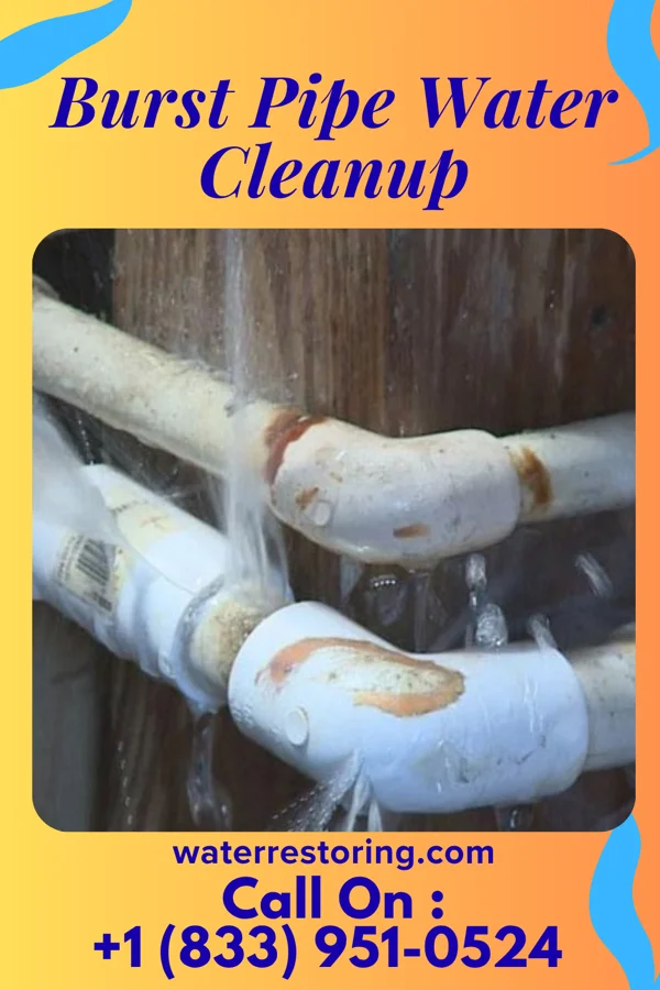 Burst Pipe Water Cleanup in Ashton, NE