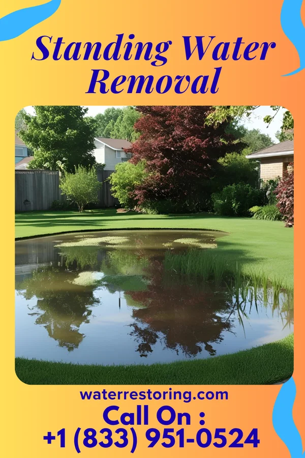 Standing Water Removal in Ashton, NE